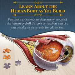 Genius Games Dr Livingston optic nerve puzzle connects eye to brain in medical training.