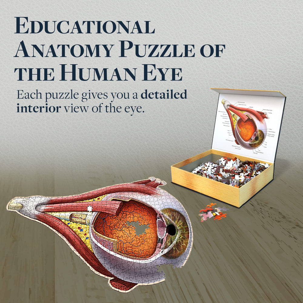 Genius Games Dr Livingston retina puzzle reveals light-sensitive layer for retina anatomy review.