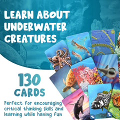 Genius Games Ecosystem Coral Reef grid of habitats supports strategic thinking.