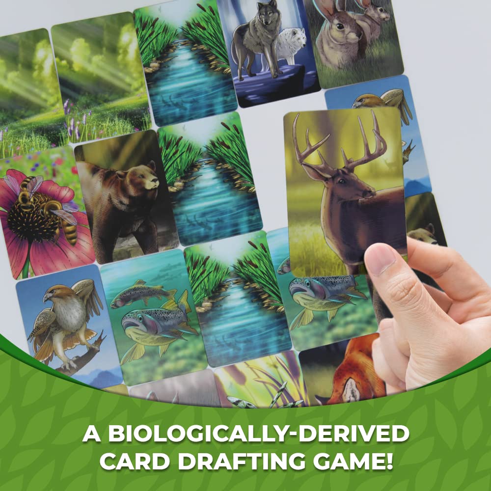 Genius Games Ecosystem meadow habitat cards enabling family game night learning