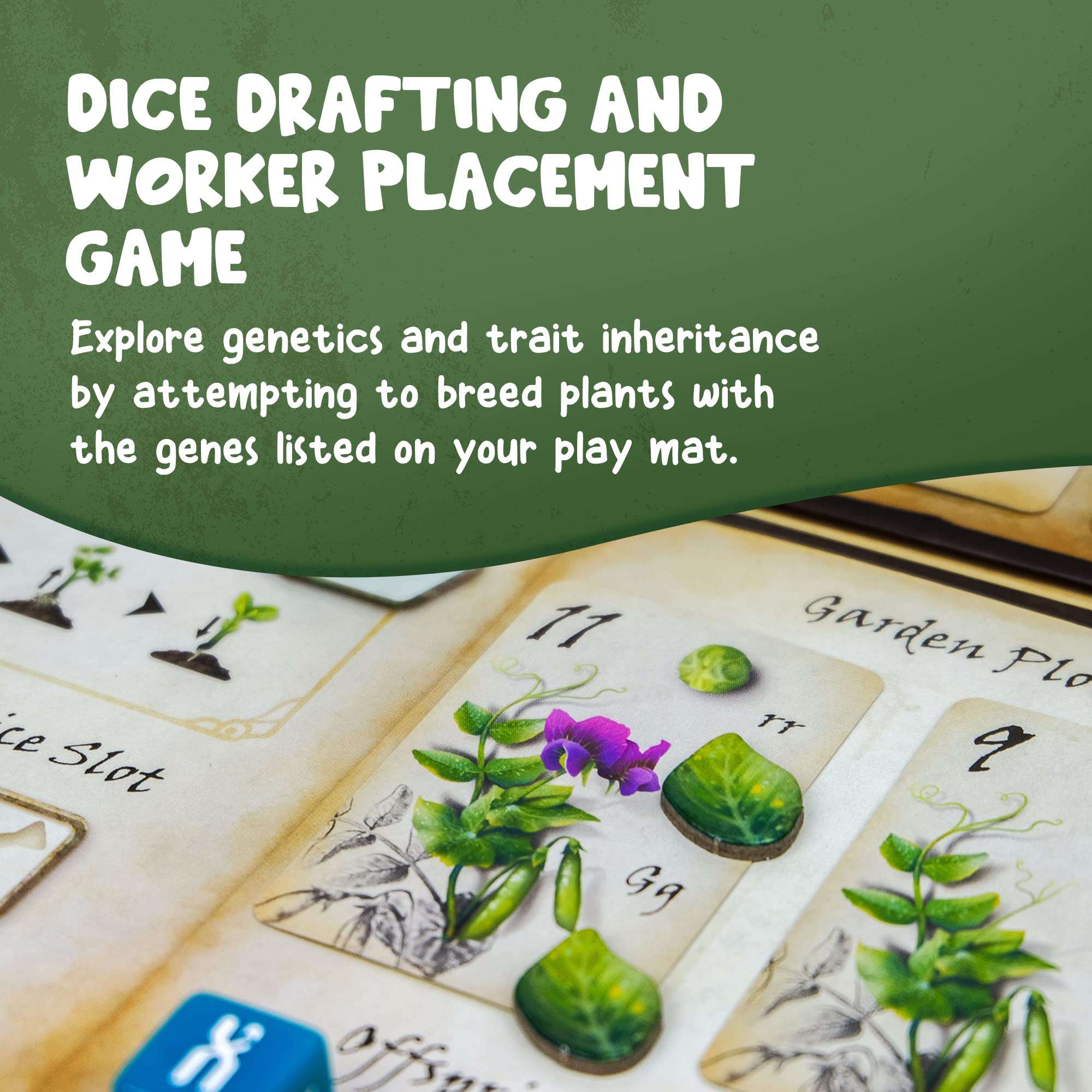 Genius Games Genotype shows dice slots and Punnett Square options for planning.