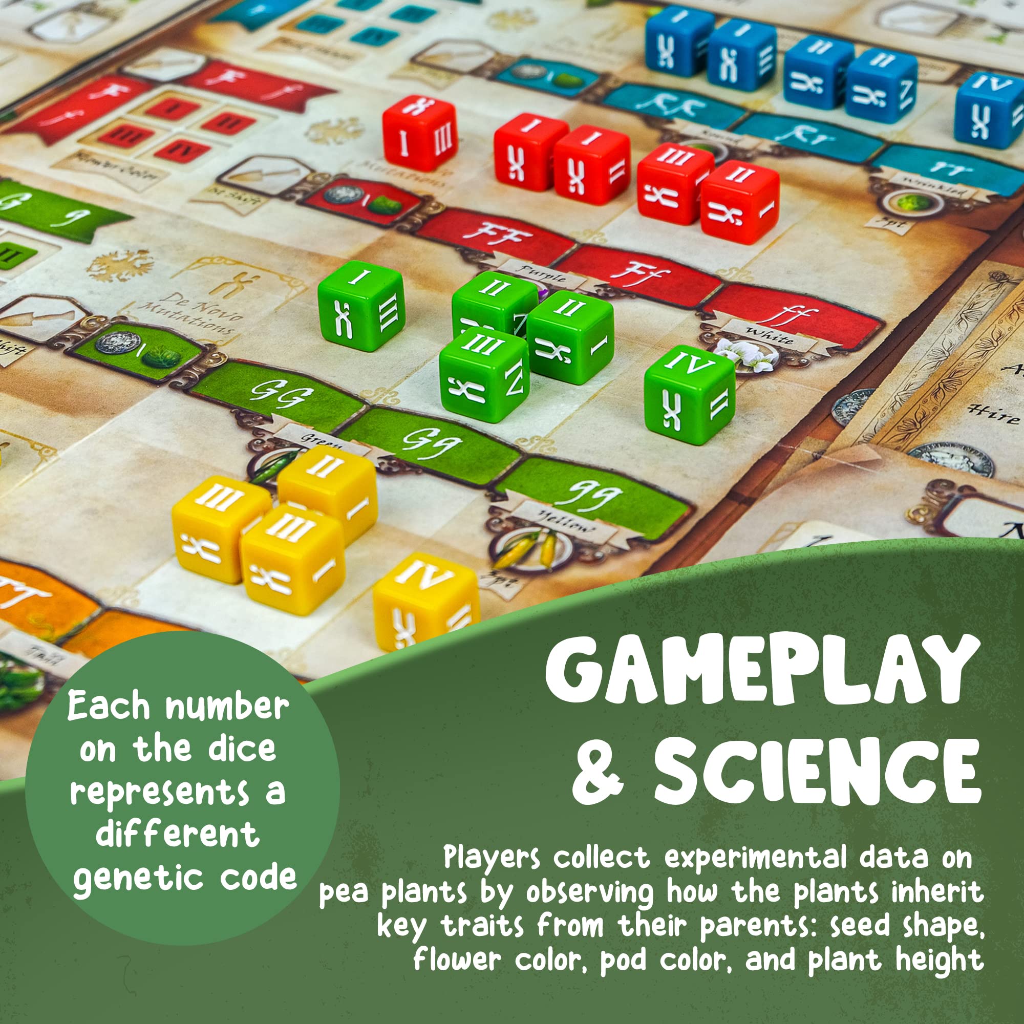 Genius Games Genotype offers a satisfying solo mode for independent play.