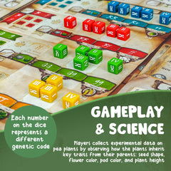 Genius Games Genotype offers a satisfying solo mode for independent play.