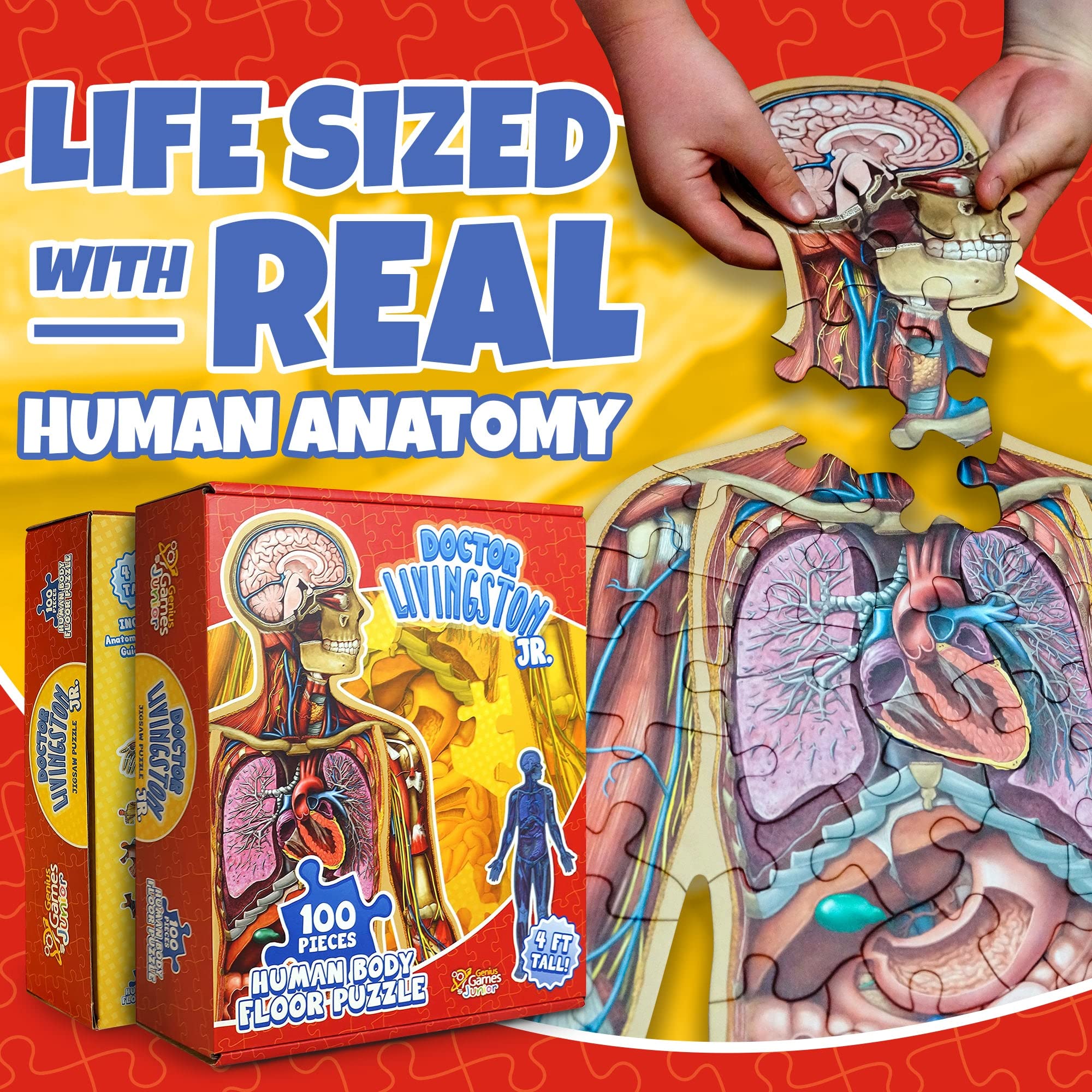 Genius Games human body puzzle close-up organ shapes for classroom learning