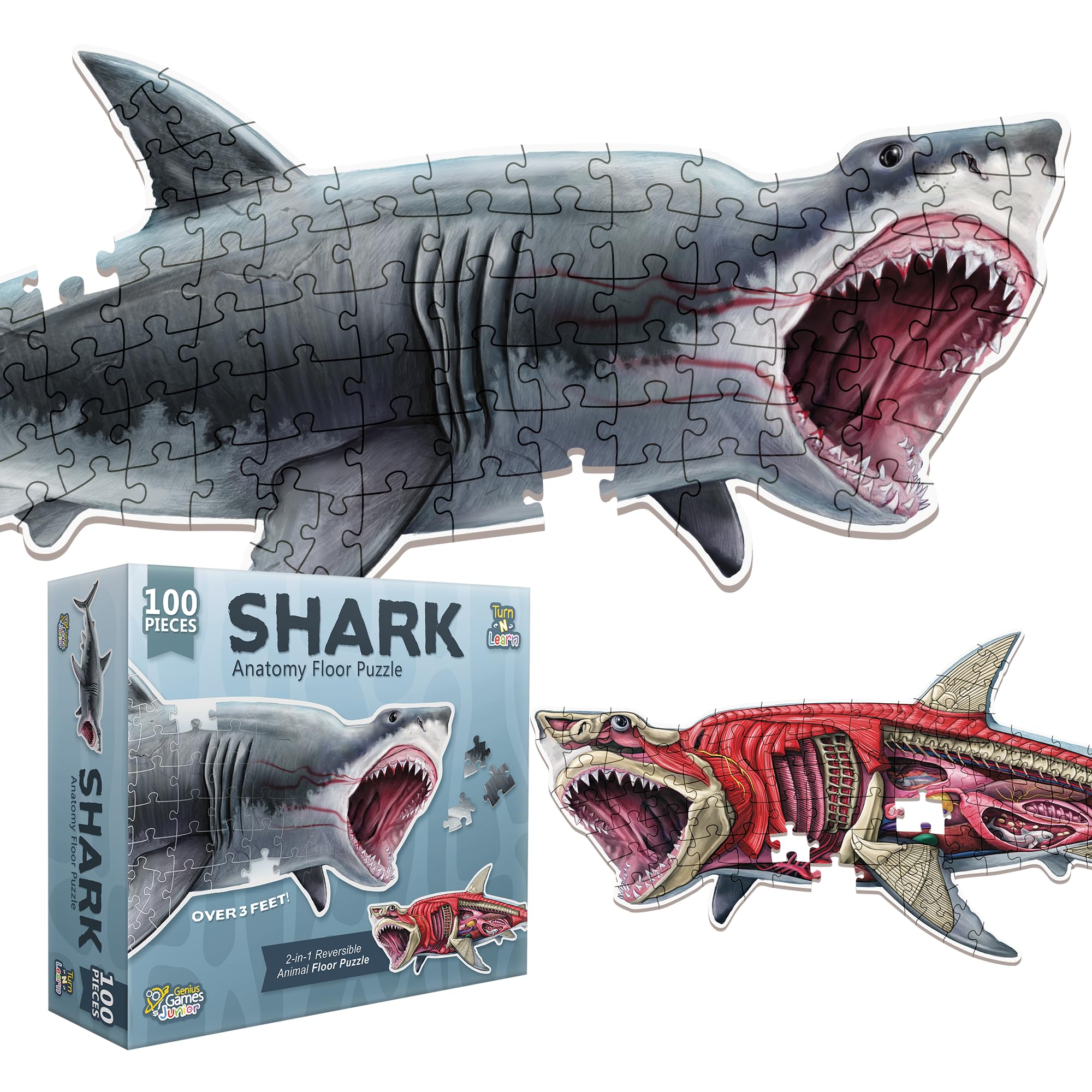 Genius Games shark double-sided design puzzle art promotes imaginative ocean discovery