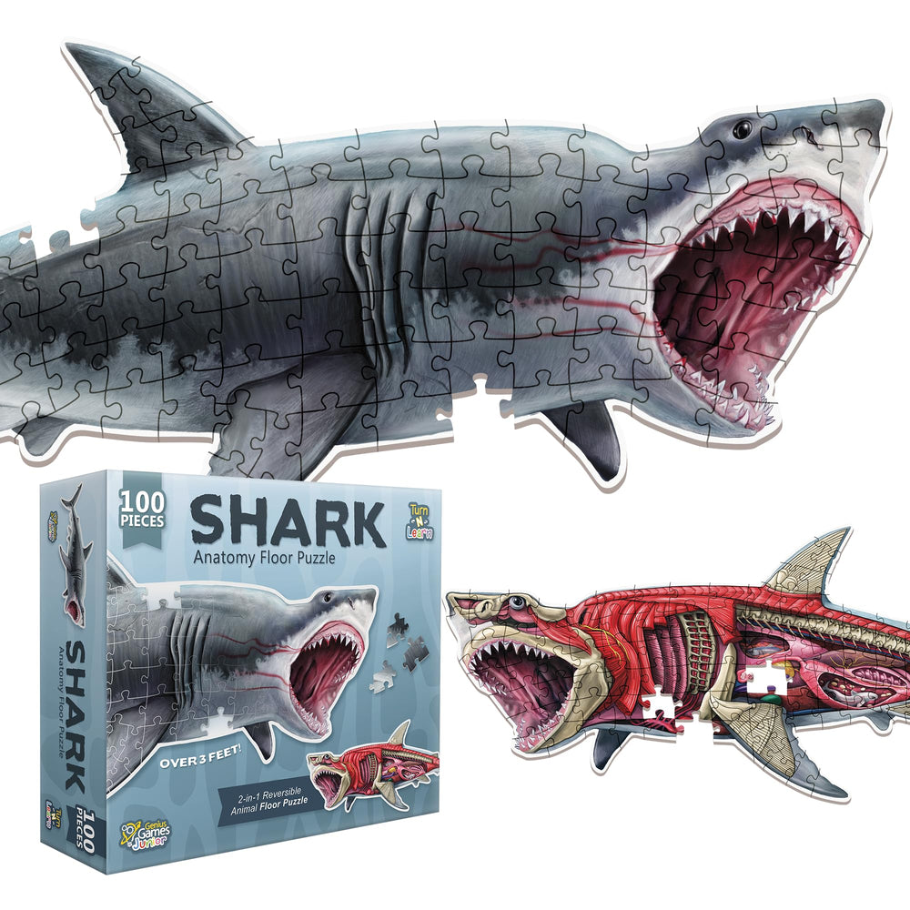 Genius Games shark double-sided design puzzle art promotes imaginative ocean discovery