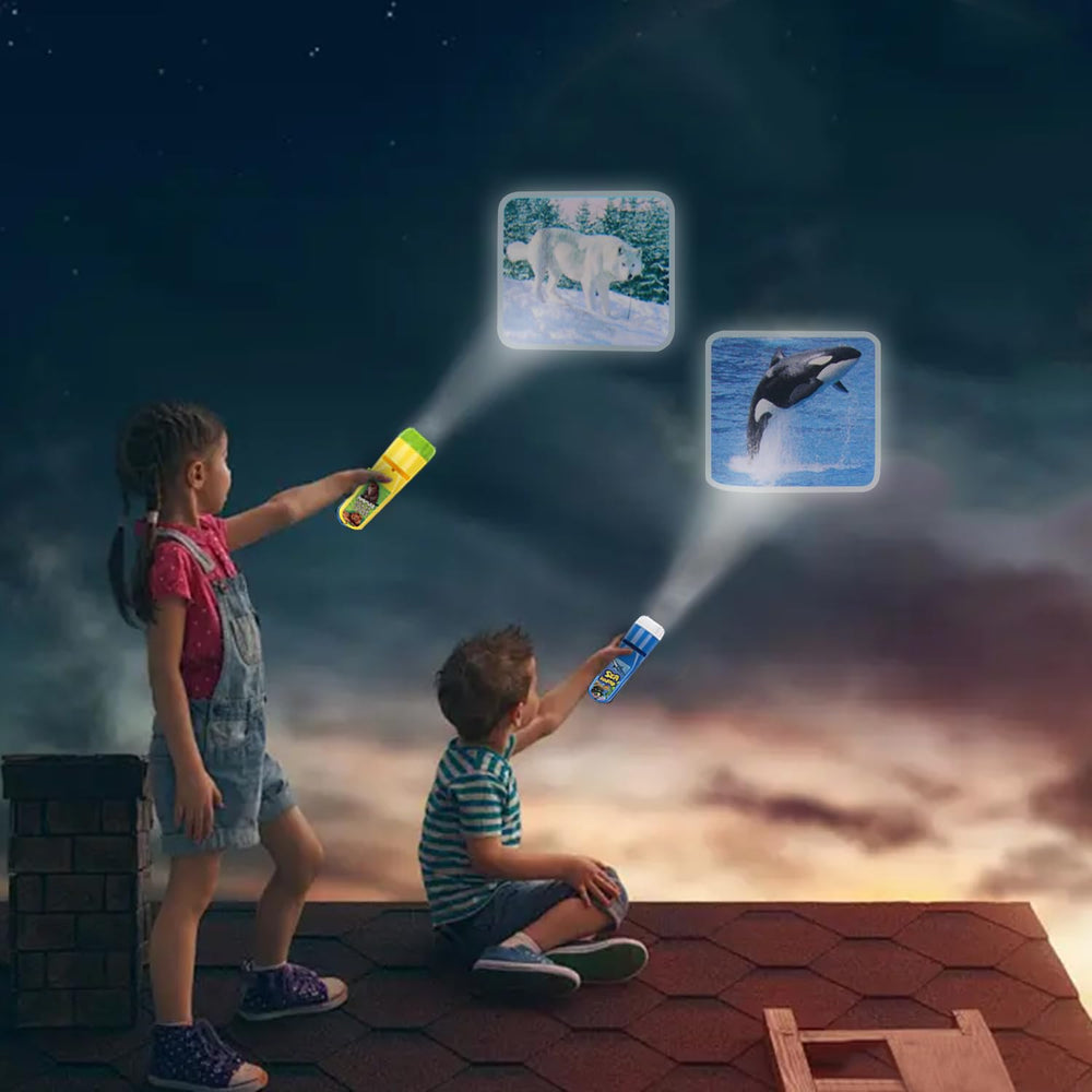 Georgie Porgy sea world images light up walls with playful underwater scenes.