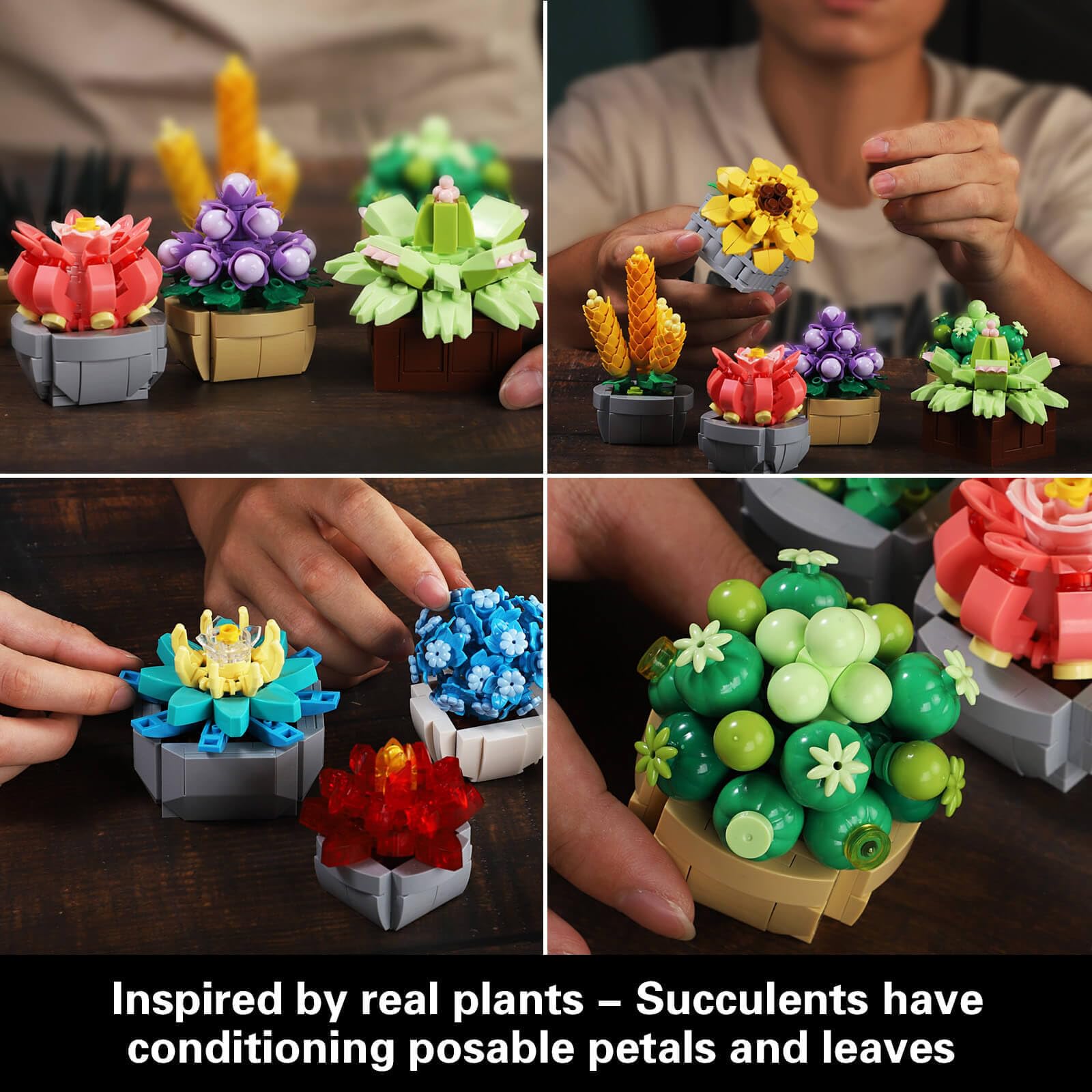 GEVINST succulents on a shelf display enhances living room ambiance