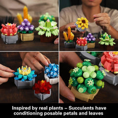 GEVINST succulents on a shelf display enhances living room ambiance