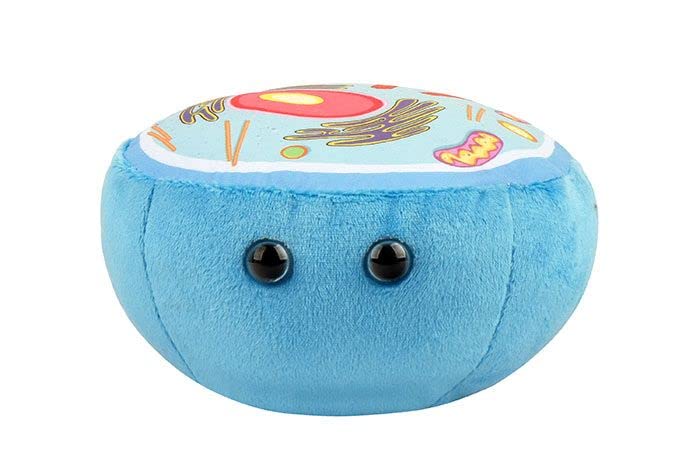 GIANT MICROBES Animal Cell Plush shows nucleus for interactive biology lessons