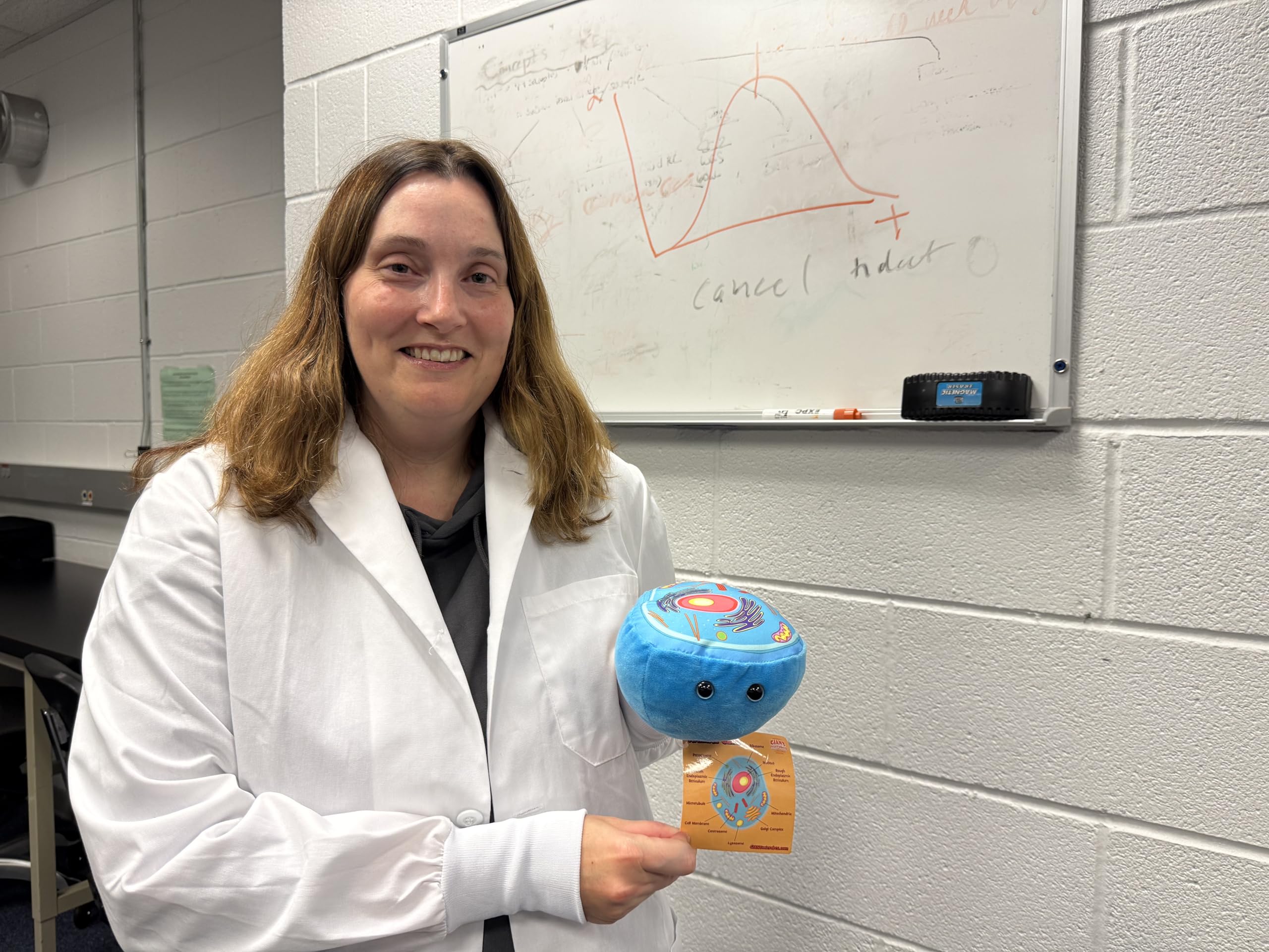 GIANT MICROBES Animal Cell Plush includes plasma membrane concept in soft form