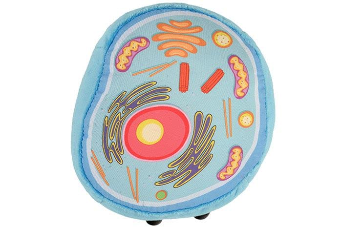GIANT MICROBES Animal Cell Plush—vesicles in a complete organelle model