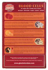 GIANT MICROBES Antibody plush, educational and collectible gift.