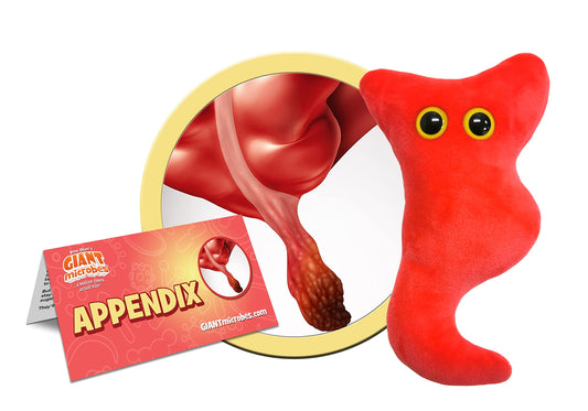 GIANT MICROBES Appendix Plush embroidered details for authentic anatomy.