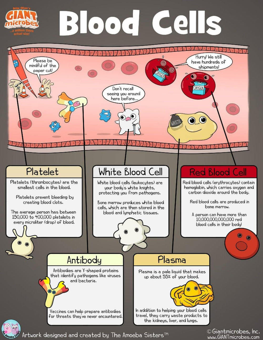 GIANT MICROBES Back Info Cards accompany each plush with educational notes.