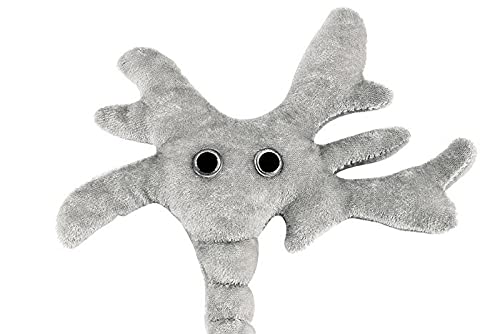 GIANTMICROBES Brain Cell Plush on desk as classroom decor.
