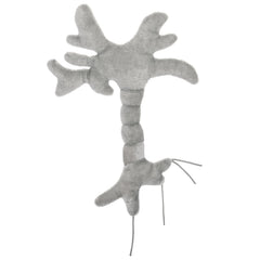 GIANTMICROBES Brain Cell Plush with child-friendly educational context.
