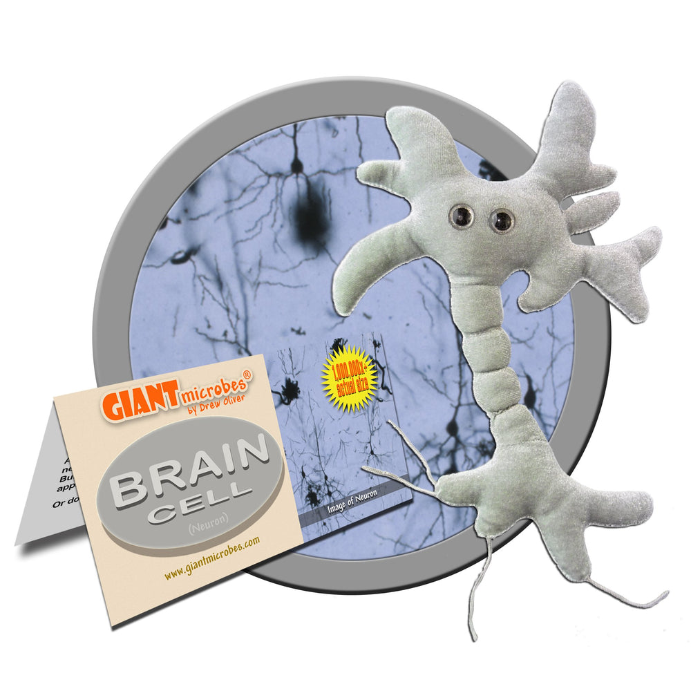 GIANTMICROBES Brain Cell Plush embroidery details highlight craftsmanship and accuracy.