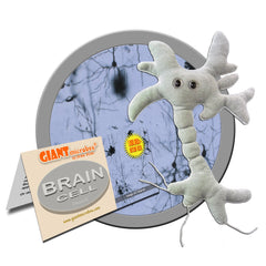 GIANTMICROBES Brain Cell Plush embroidery details highlight craftsmanship and accuracy.