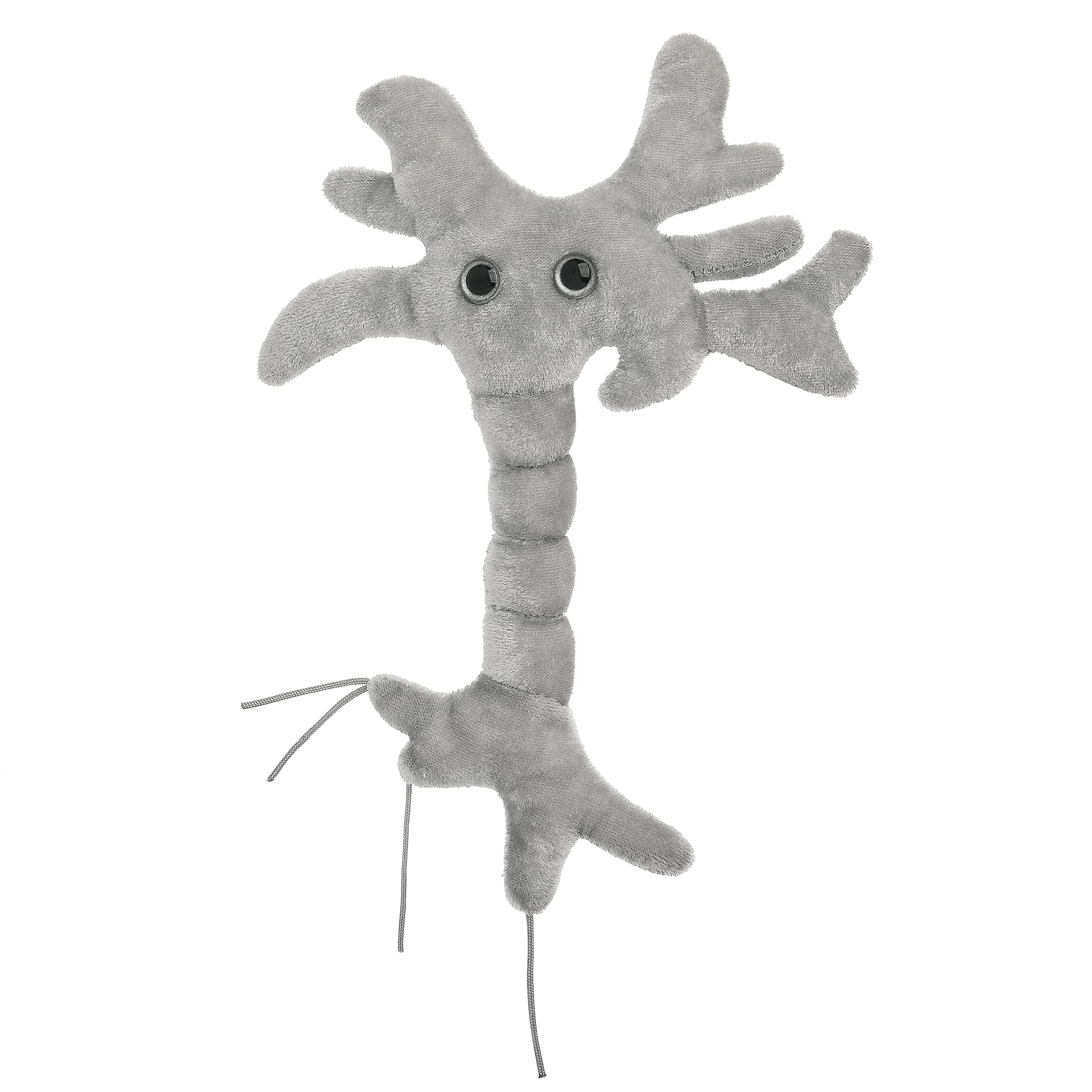 GIANTMICROBES Brain Cell Plush front view, a cuddly neuroscience toy for learning and inspiration.