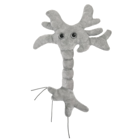 GIANTMICROBES Brain Cell Plush front view, a cuddly neuroscience toy for learning and inspiration.