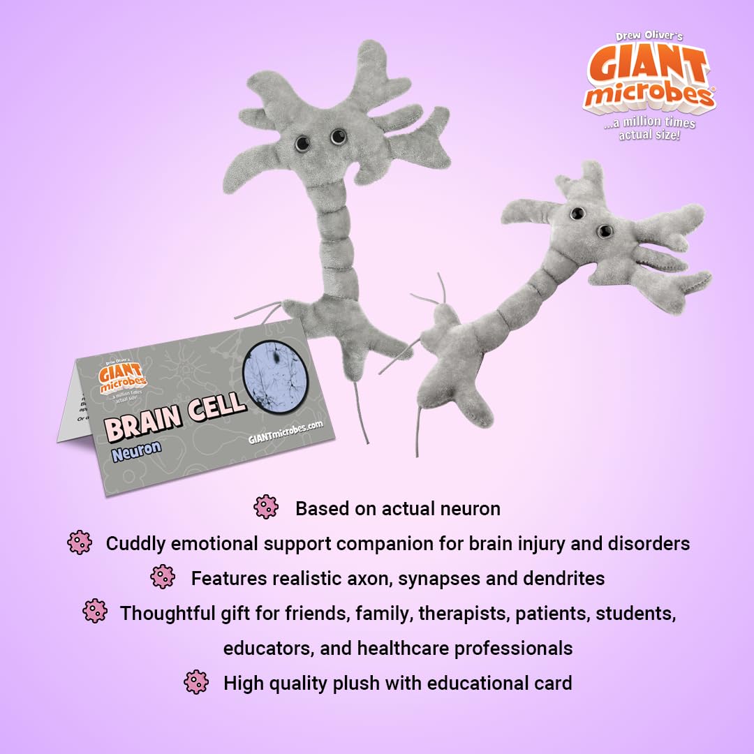 GIANTMICROBES Brain Cell Plush synapse strings illustrate neural connectivity up close.