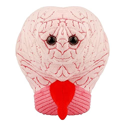 GIANT MICROBES Brain Plush embroidery cerebellum detail aids memory through visual learning.