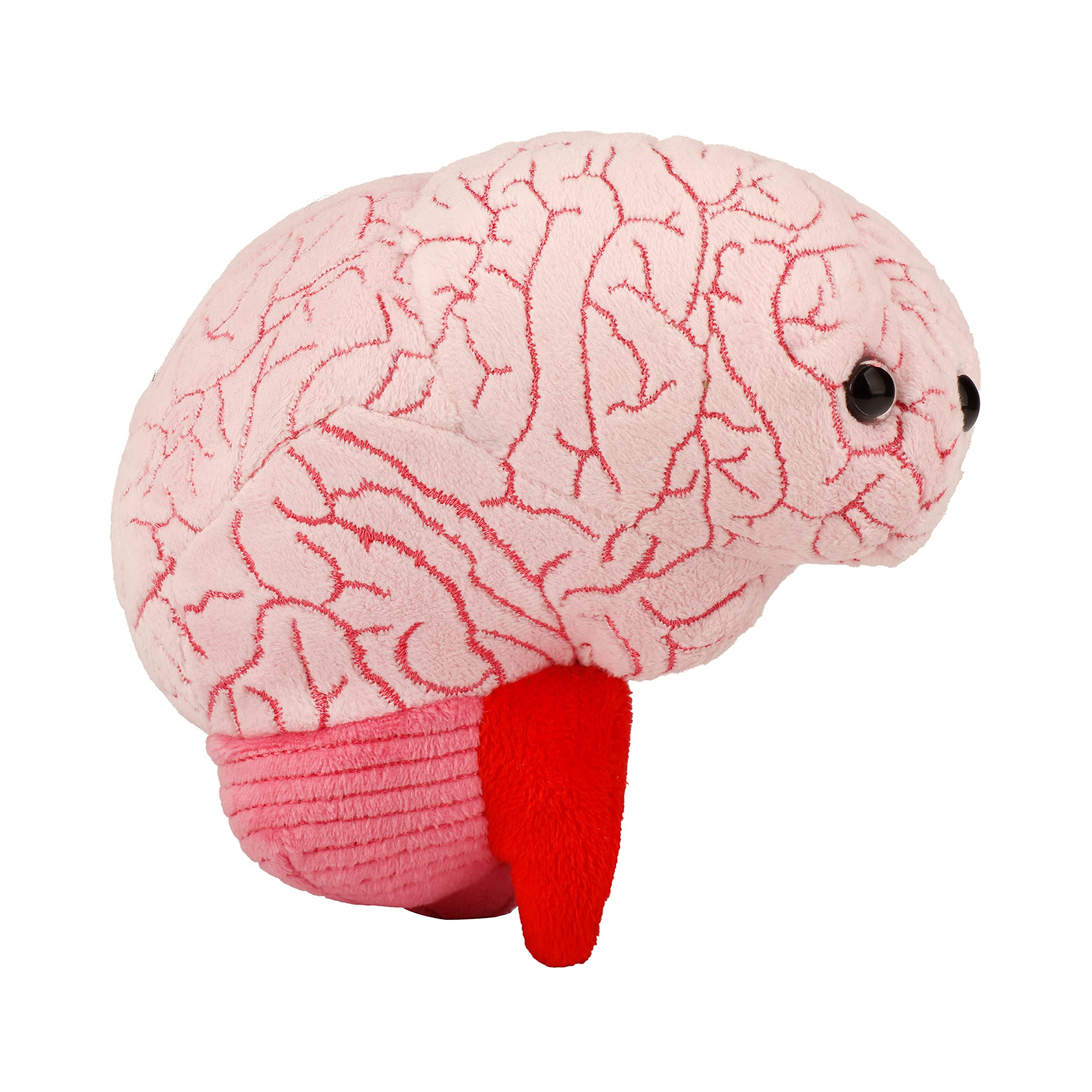 GIANT MICROBES Brain Plush front view for friendly medical education and cozy learning moments.