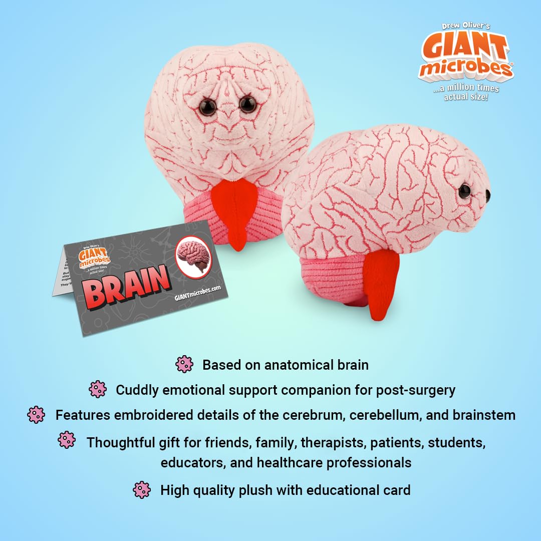 GIANT MICROBES Brain Plush information card visible supports fun facts and study notes.