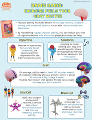 GIANT MICROBES Brain Plush 6-inch size fits desks, shelves, and classroom displays.