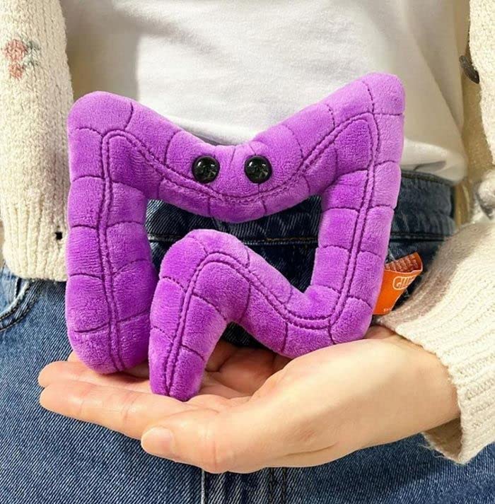 Five-inch GIANT MICROBES colon plush as a pocket-size study buddy.