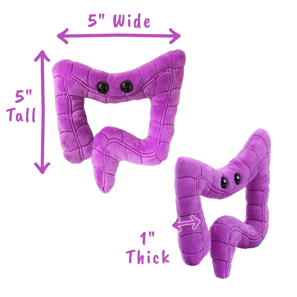 Gift-ready GIANT MICROBES colon plush ideal for science lovers and educators.