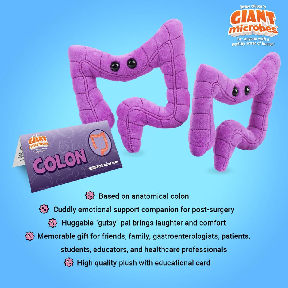 GIANT MICROBES colon plush with information card for quick digestive health insights.