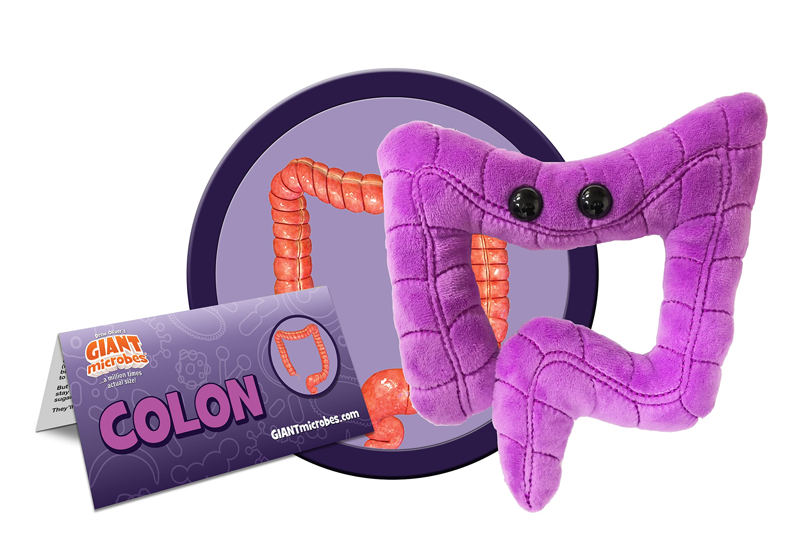 Soft GIANT MICROBES colon plush for comforting, hands-on study and play.