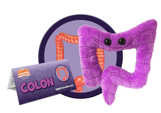 Soft GIANT MICROBES colon plush for comforting, hands-on study and play.