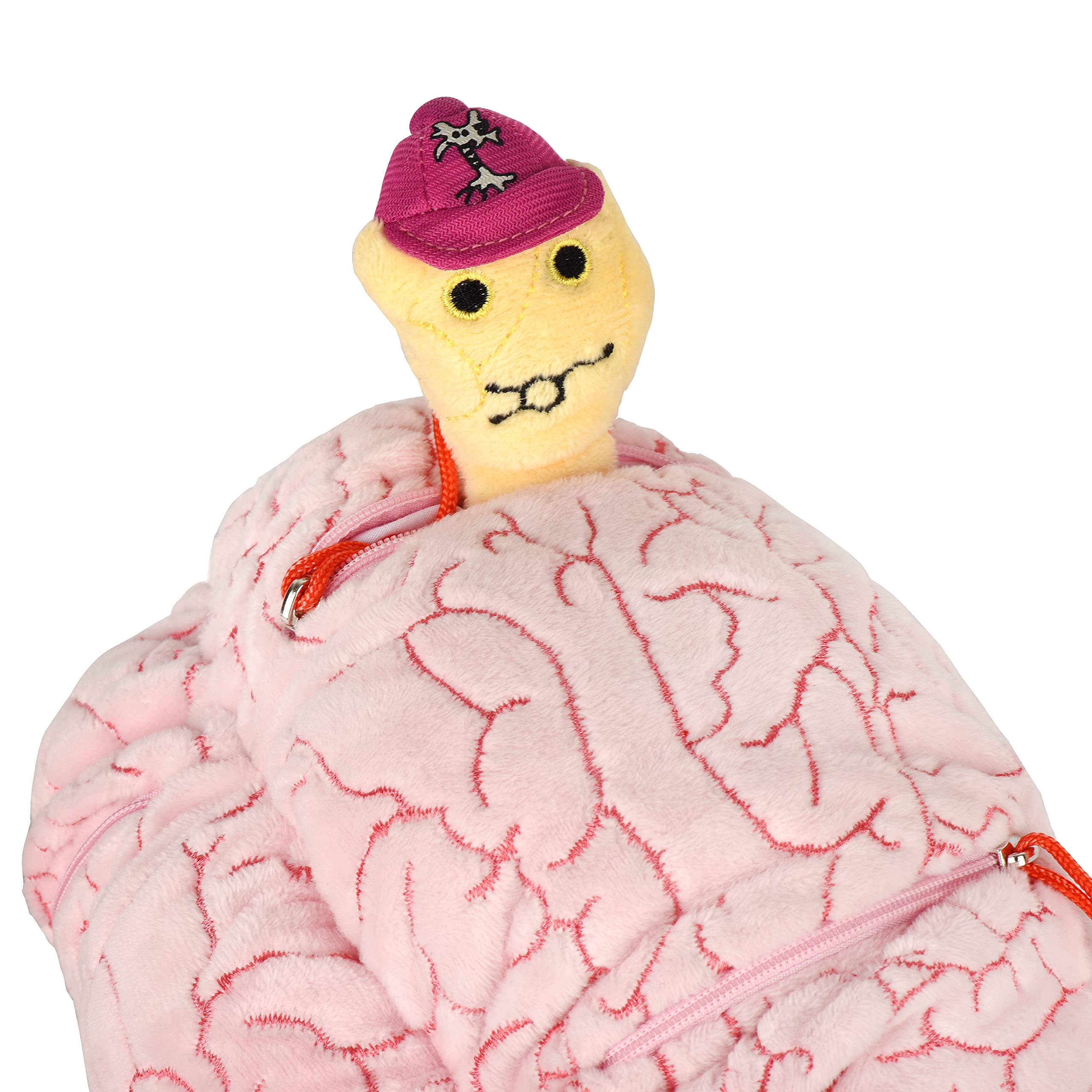GIANT MICROBES Deluxe brain used as an educational tool