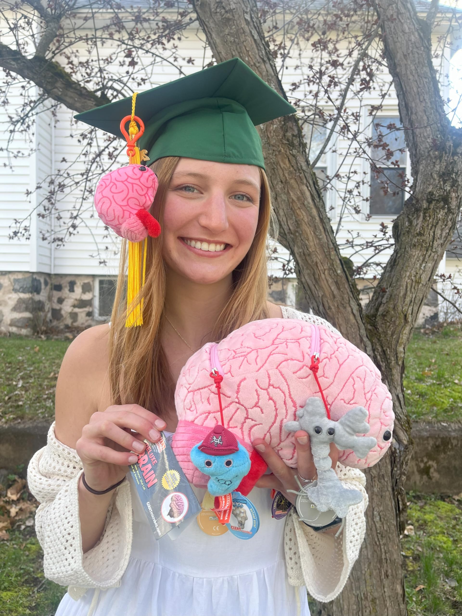 GIANT MICROBES Deluxe brain embroidery highlights neuroanatomy details