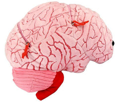 GIANT MICROBES brain includes 3 inch neuron plush for tactile study