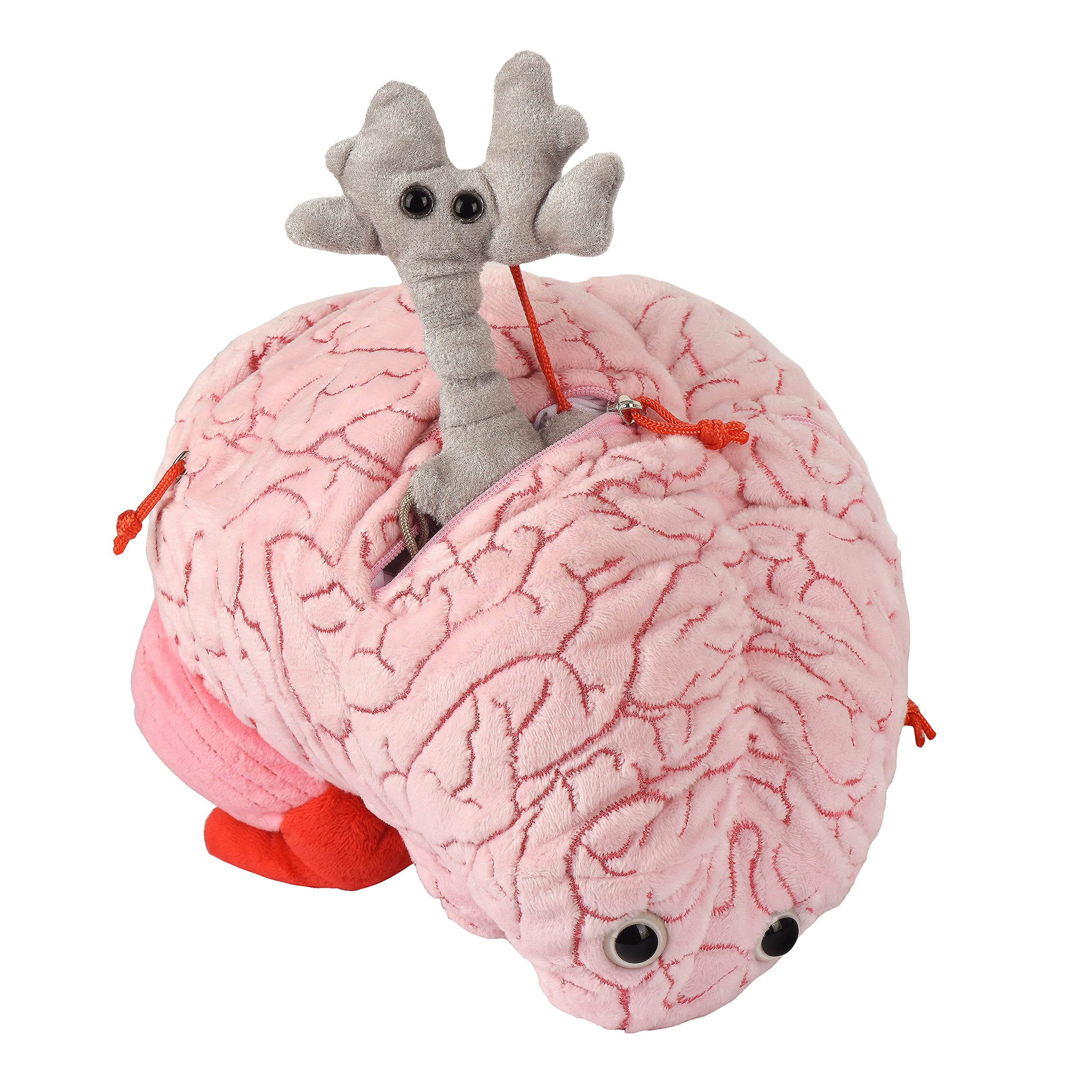 GIANT MICROBES brain makes a thoughtful post-surgery get well gift