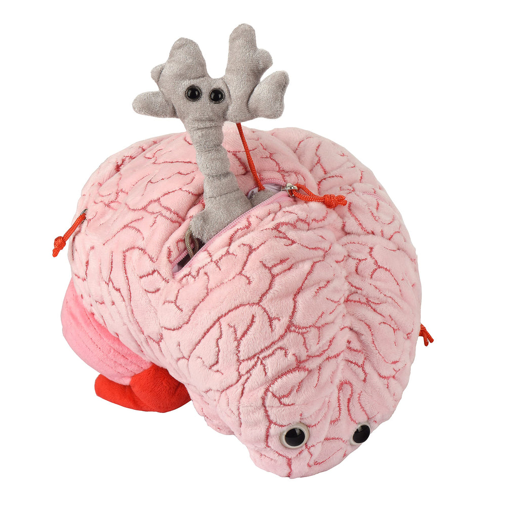 GIANT MICROBES brain makes a thoughtful post-surgery get well gift