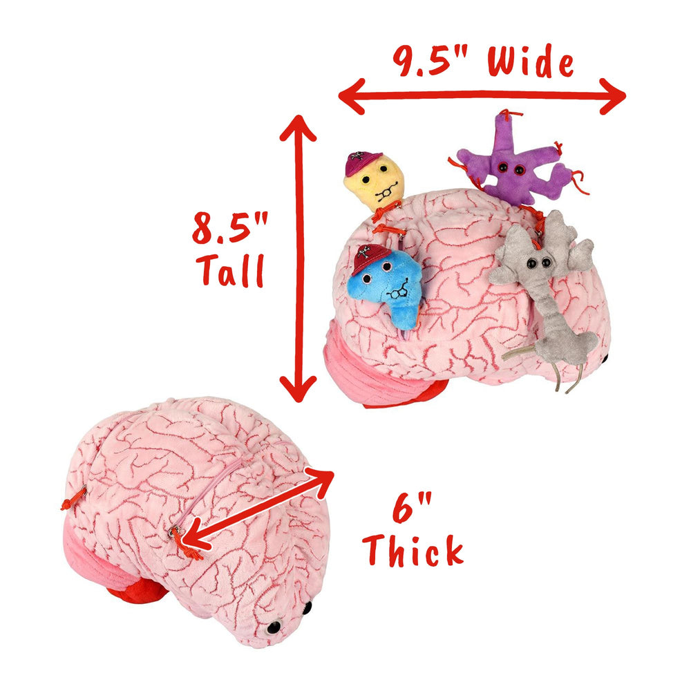 GIANT MICROBES Deluxe brain with zippered pockets revealing neuron plushies