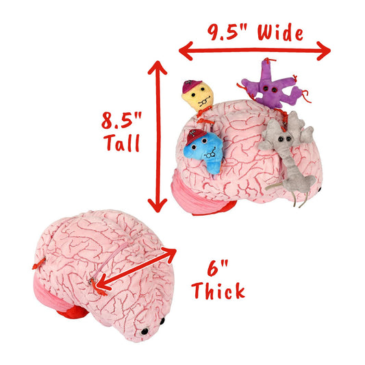 GIANT MICROBES Deluxe brain with zippered pockets revealing neuron plushies