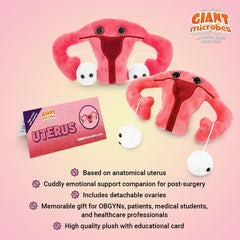 GIANT MICROBES information card included enhances factual learning about reproductive anatomy.