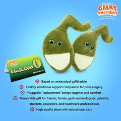 Emotional support gallbladder plush suitable for patients and professionals.