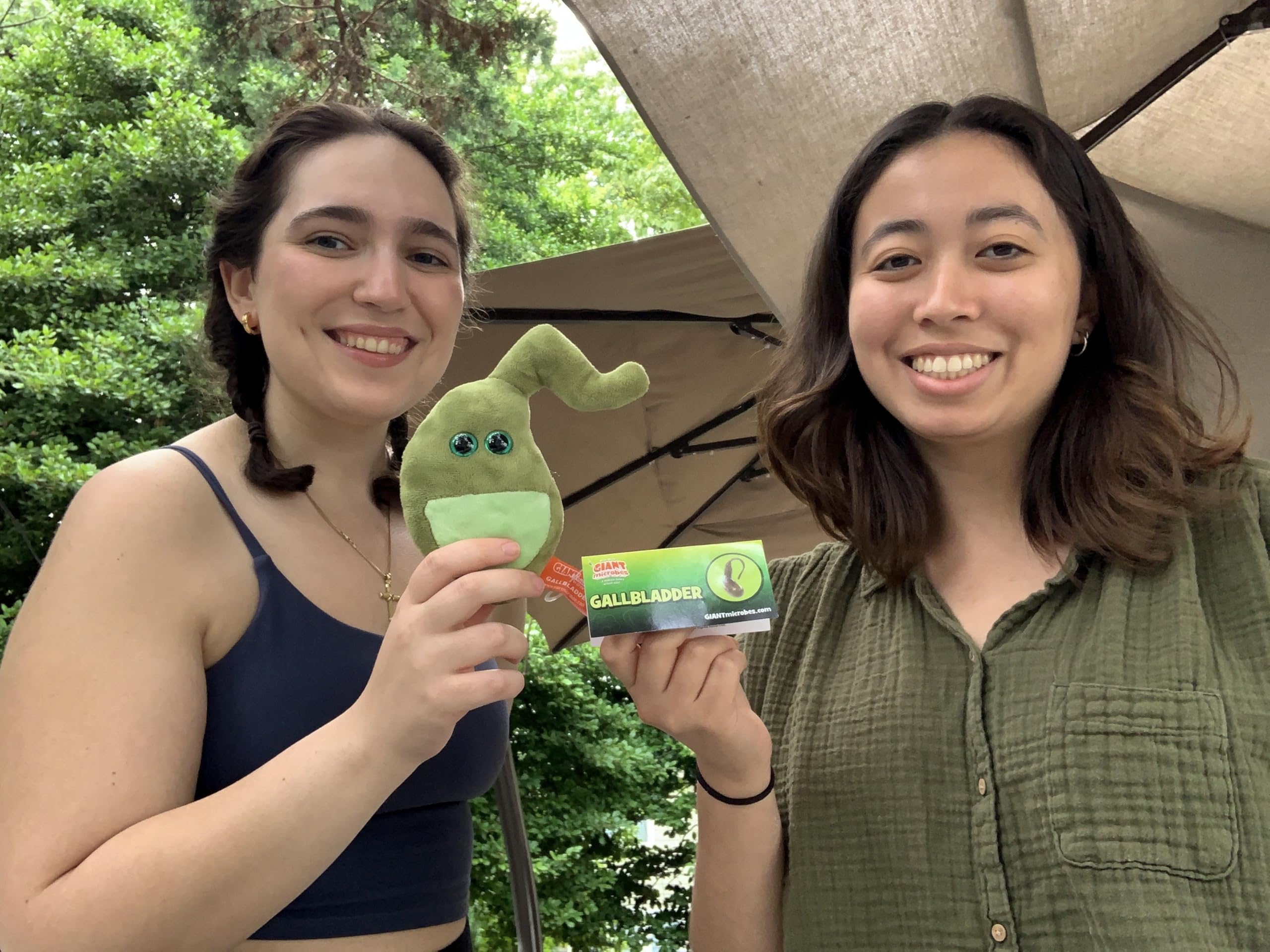 GIANT MICROBES gallbladder plush shown at a white coat ceremony gift.