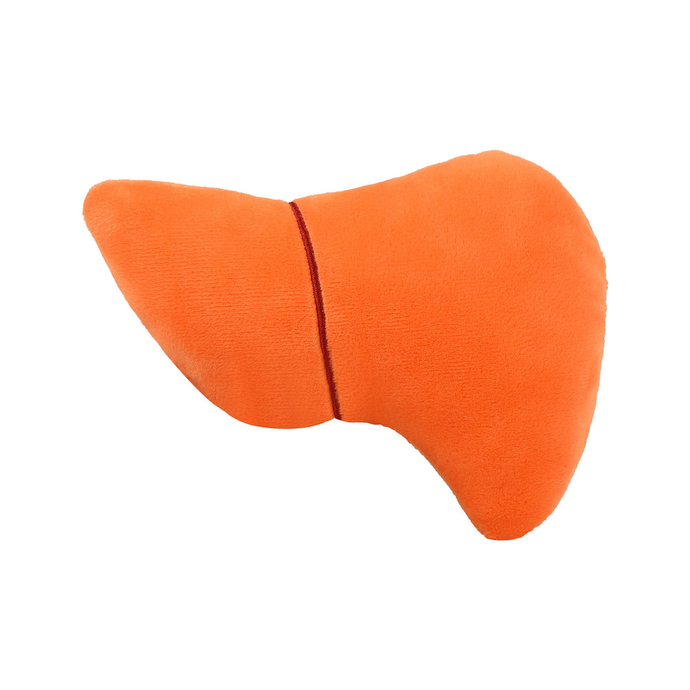 GIANTMICROBES liver plush in classrooms - inspires anatomy discussions