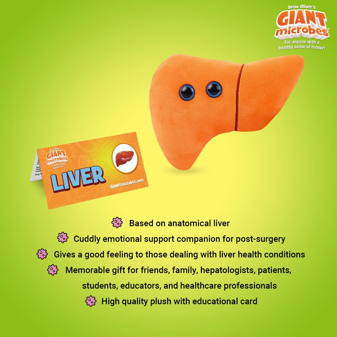 GIANTMICROBES liver plush embroidery details - accurate texture for anatomy study