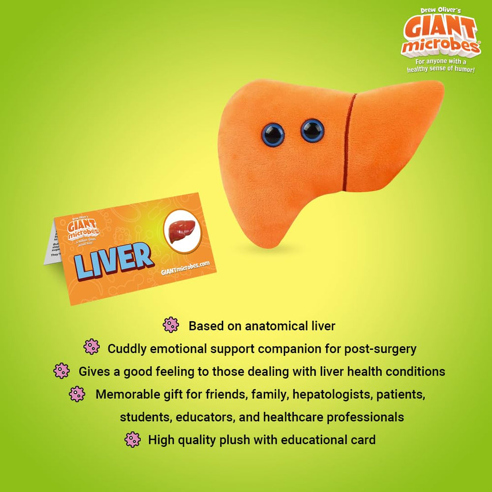 GIANTMICROBES liver plush embroidery details - accurate texture for anatomy study