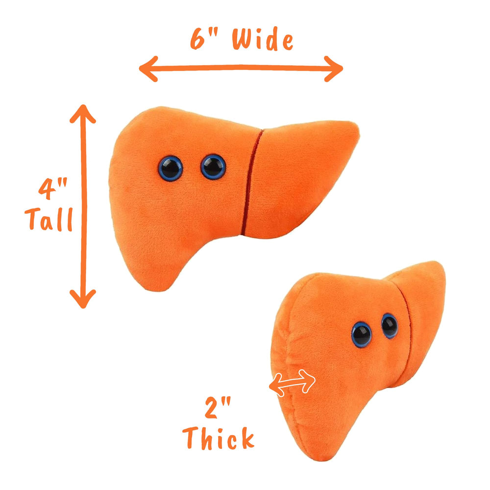 GIANTMICROBES liver plush with information card - quick learning aid