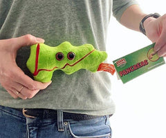 GIANT MICROBES Pancreas Plush as an educational toy for biology learners.